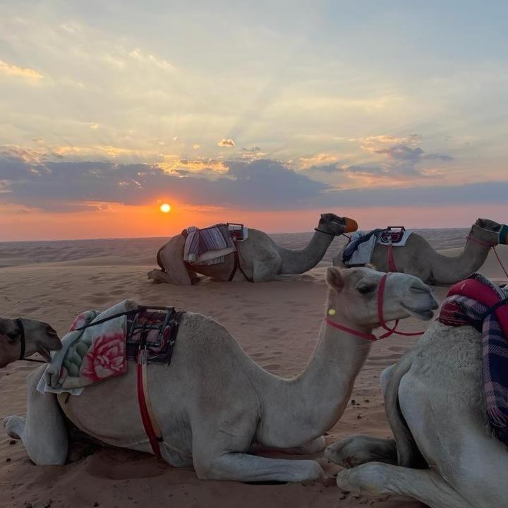 Oman Desert Private Camp Shāhiq Eksteriør billede