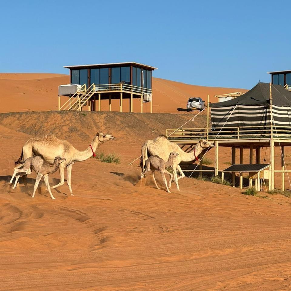 Oman Desert Private Camp Shāhiq Eksteriør billede